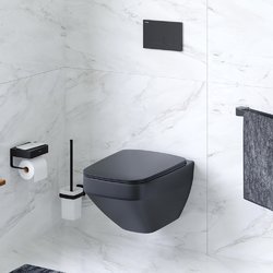 Унитаз подвесной AM.PM Inspire V2.0 FlashClean C50A1700MBSC безободковый, черный матовый