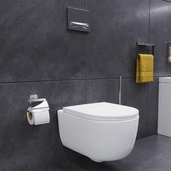 Унитаз подвесной Damixa Sirius DX86C1700SC с микролифтом