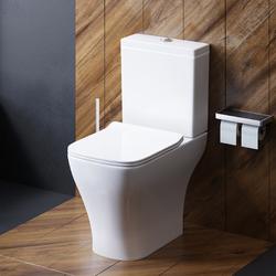 Унитаз-компакт Damixa Titan DX78C8600SC безободковый, с микролифтом